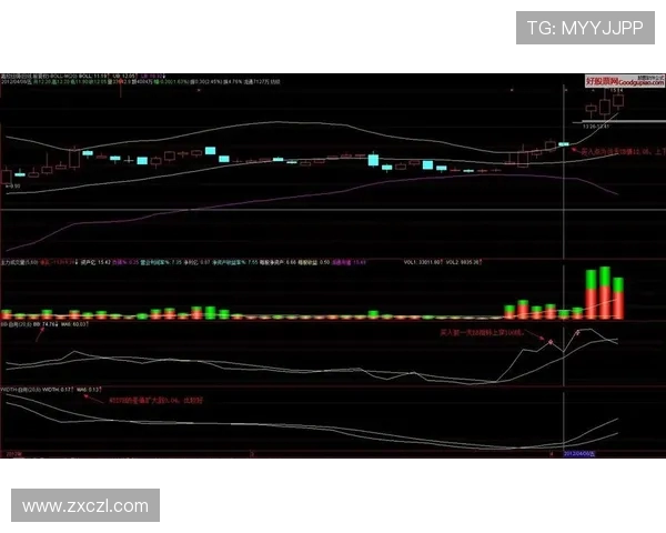 南京篮球队在钻石联赛中的强势表现与未来发展潜力分析