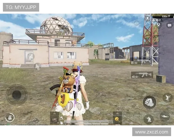 和平精英战术解析：LNG战队进攻体系的深度剖析与实战应用