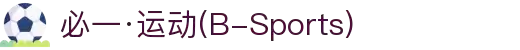 必一·运动(B-Sports)官方网站